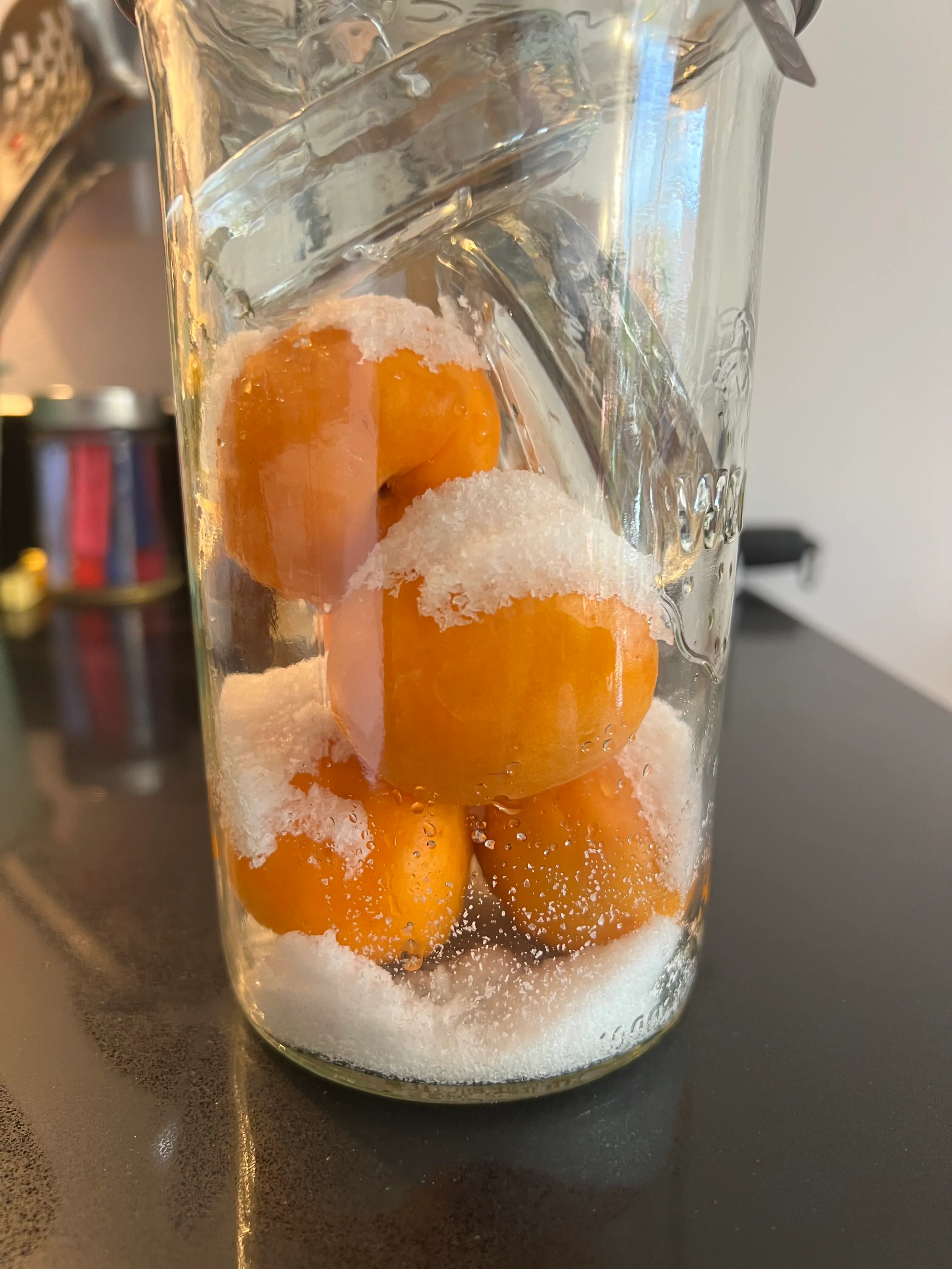 Apricots with 15% salt in jar