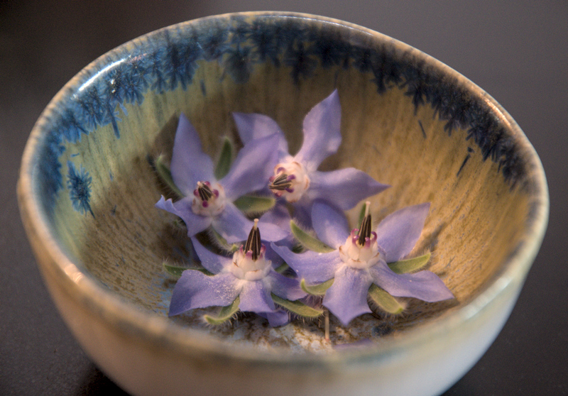 Freshly picked borage flowers in a ceramic bowl.